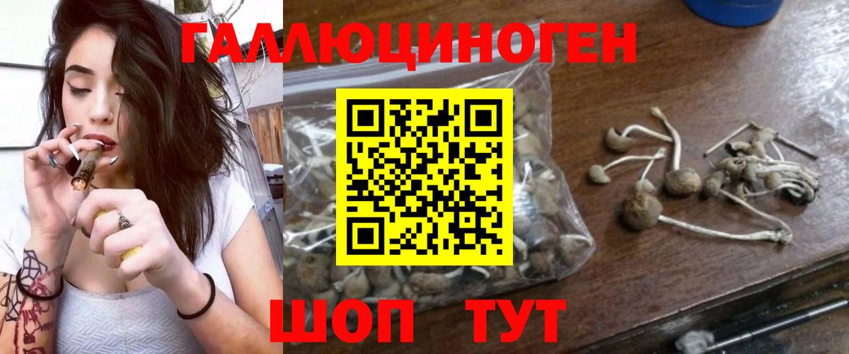 Бугуруслан  Галлюциногенные грибы Magic Shrooms  Вход с VPN 